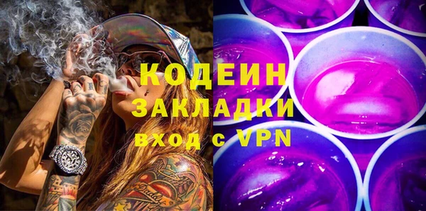 хмурый Магас