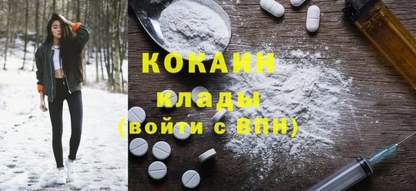 хмурый Магас