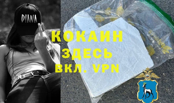 хмурый Магас