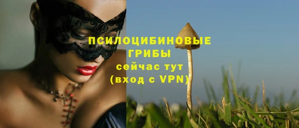 хмурый Магас