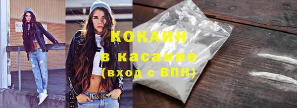 хмурый Магас