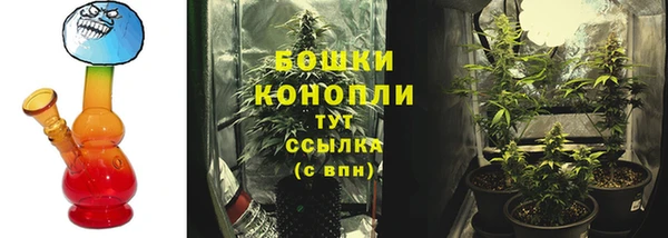 хмурый Магас