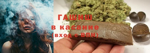 хмурый Магас