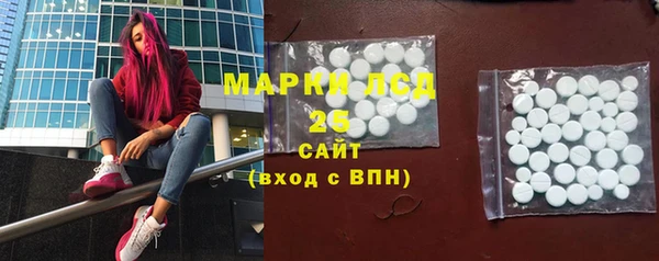 хмурый Магас