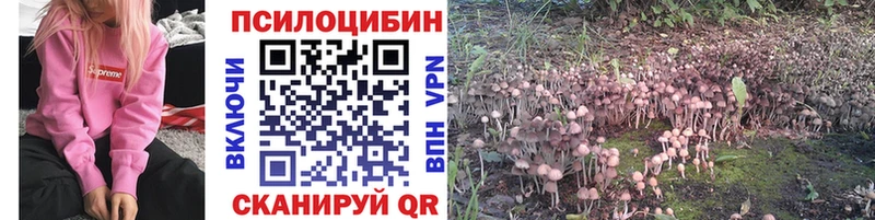 купить наркотик  Ува  Псилоцибиновые грибы мицелий 